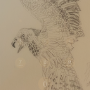 Eagle/Feunyx