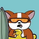 chubbycorgis