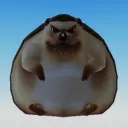 ic1ly_ avatar