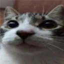 koogeeplays