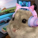 Discord Avatar