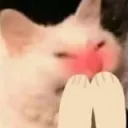 rxzu