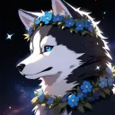itssilverhusky