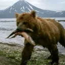 menawa