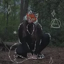 foxydreamflight