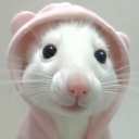 avatar 𝓙𝓾𝓲𝓬𝔂✘