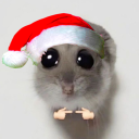 avatar 𝓙𝓾𝓲𝓬𝔂✘