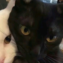 avatar Cruz | クルス