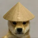 slicemyrice