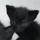 katrek