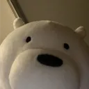 vyl0w