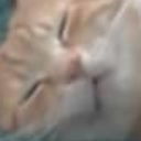 avatar Gracjan Witos