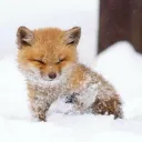 notcalc