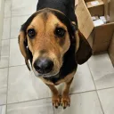 mokadadawg