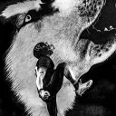 dawglifeizzo7