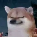_brzrk_
