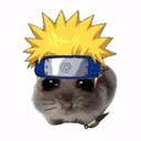 cagiii_
