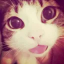 ootiii