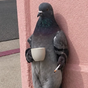 p0mba