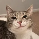 bigfloppasimp