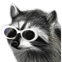 lord.raccoon