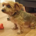fancyregression