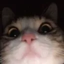 3r0t