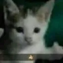 fwizyx