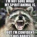 drtrashpanda.