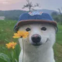 ivan.11111