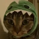 awkyxd