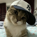 Discord Avatar