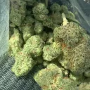 circlegotps