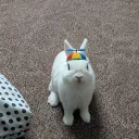 snoopanium