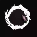 campinginalaskaenthusiast's avatar