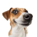 avatar illuminatiass