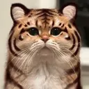 mmnft