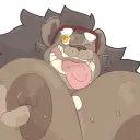 zhamignis