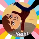 veemocam