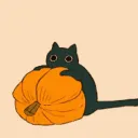 pfp