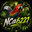 nca6221