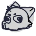 coozy_exp