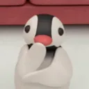 hawPirrorro's Avatar