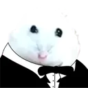 dimasvm