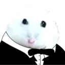 dimasvm