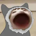 rivver_cat