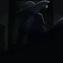 nx_shadowx