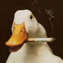 avatar 𝔼𝕩𝕚♥𝕦