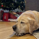 avatar TheCrafter8000