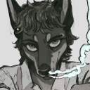 avatar VADORA  ⋆˚ ༘ *